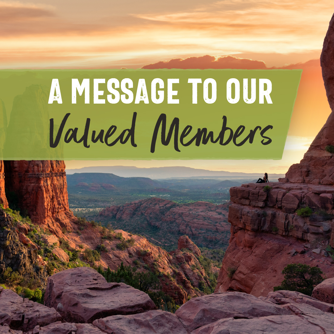 Landings Credit Union Announces New President & CEO, Cecilia Ashe 